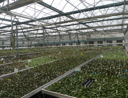 農產品恆溫恆溼溫室設備